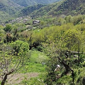 Albergo Caprile